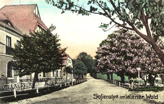 Hotel Hotel-restaurant-cafe Sophienalpe Wien